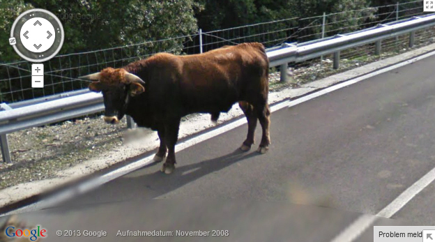 Ein Stier auf Sardinien<br><br>